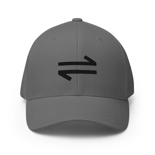 Look Both Ways Flexfit Fitted Cap